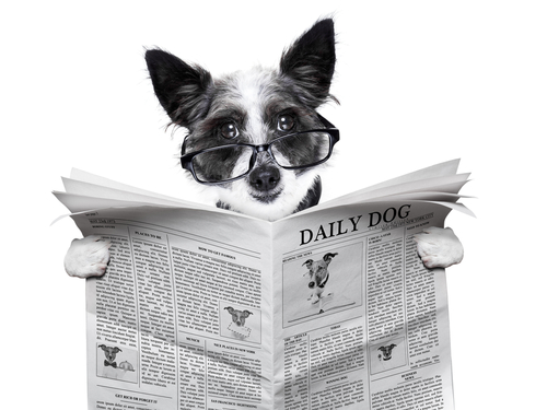 Compelling-Blog-Titles
