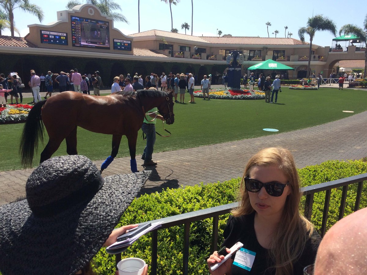 SmartBugs at the horse track