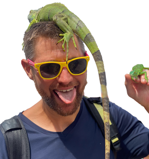 Joe 