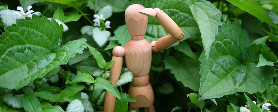 why-marketers-are-lost-in-the-weeds-with-direct-organic-search