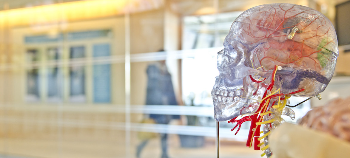 Using Psychology to Grow Your B2B Sales Funnel
