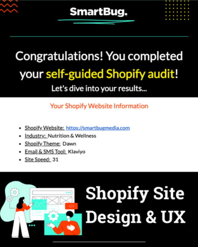 Shopify self-guided audit results example 1