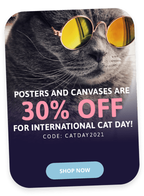 Example of promotion for International Cat Day