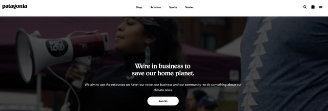 patagonia-activism-page