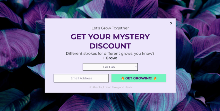 mystery discount form