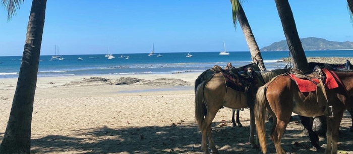 A Day in the Life of Working at a Remote Agency [Costa Rica Edition]