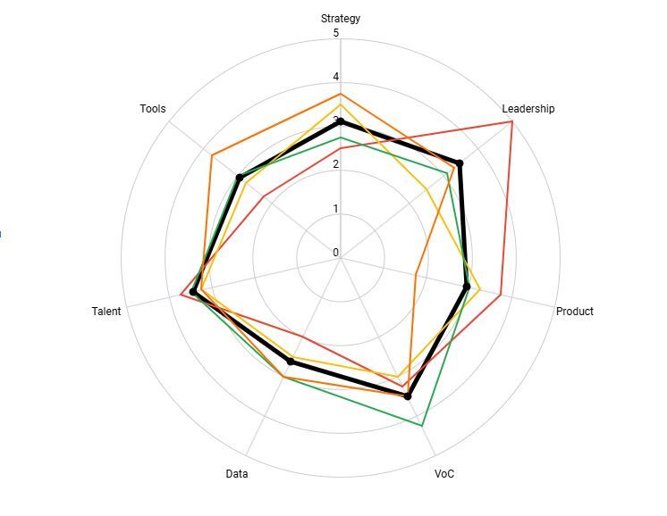 AI-Adoption-Digital-Maturity-Diagnostic_Radar-Chart