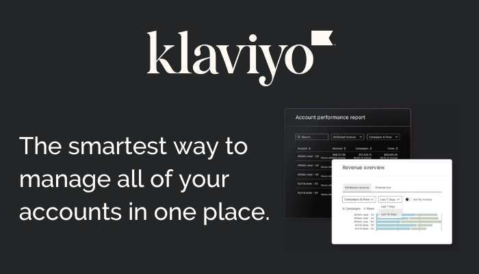 Klaviyo introduces new feature, Portfolio. Image depicts the smartest way to manage all of your accounts in one place.