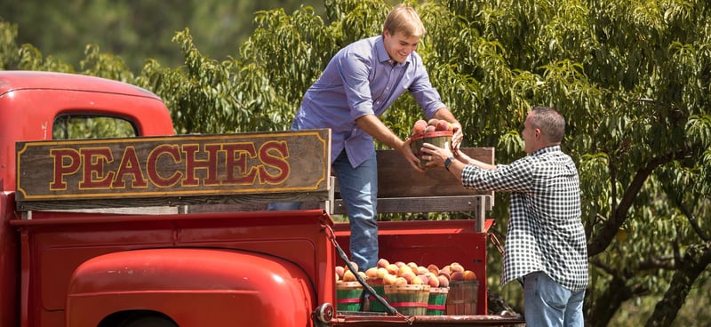 Two men loading a basket of peaches onto a red truck with a “Peaches” sign.