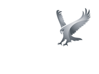 Eagle's Flight