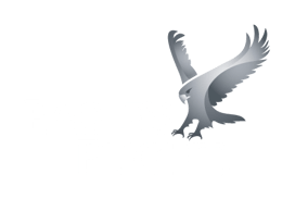 Eagle's Flight