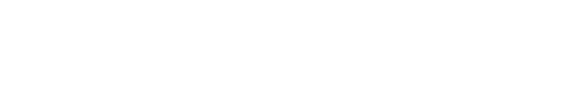 SmartBug_Logo_Final_White_Large