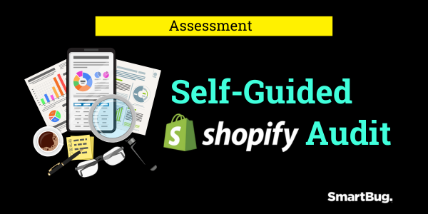 Shopify Store Self-Guided Audit thumbnail