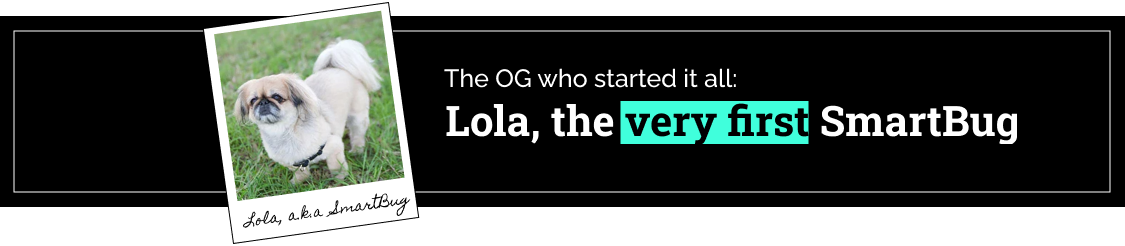 Lola, the very first SmartBug