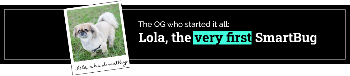 Lola, the very first SmartBug Lola, the very first SmartBug
