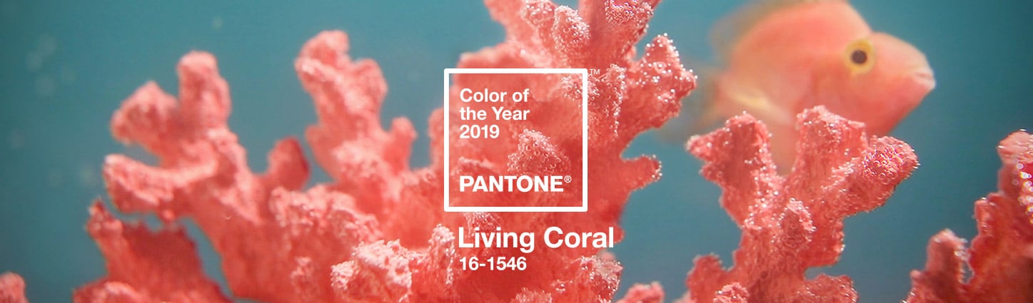 Pantone's 2019 Color of the Year - Living Coral