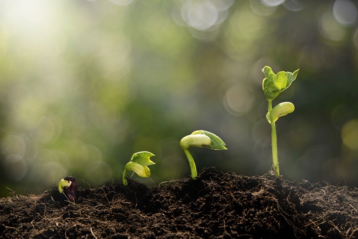 4 Ways to Nurture Marketing Qualified Leads into Sales Qualified Leads-5