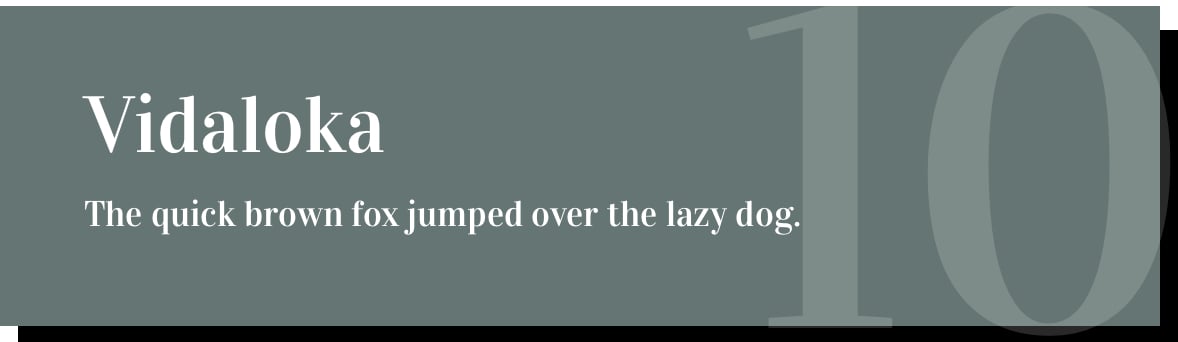 vidaloka font