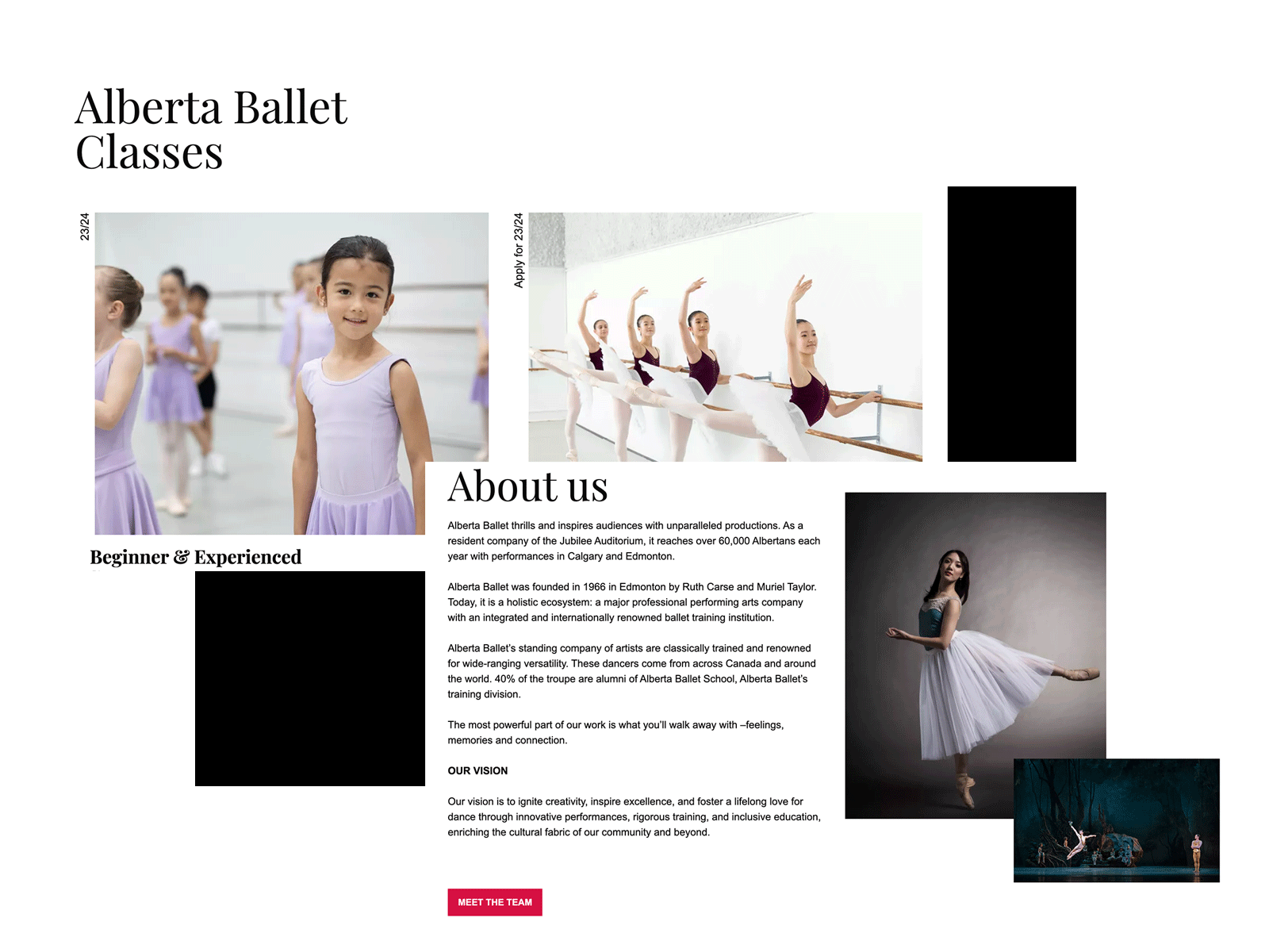 website collage