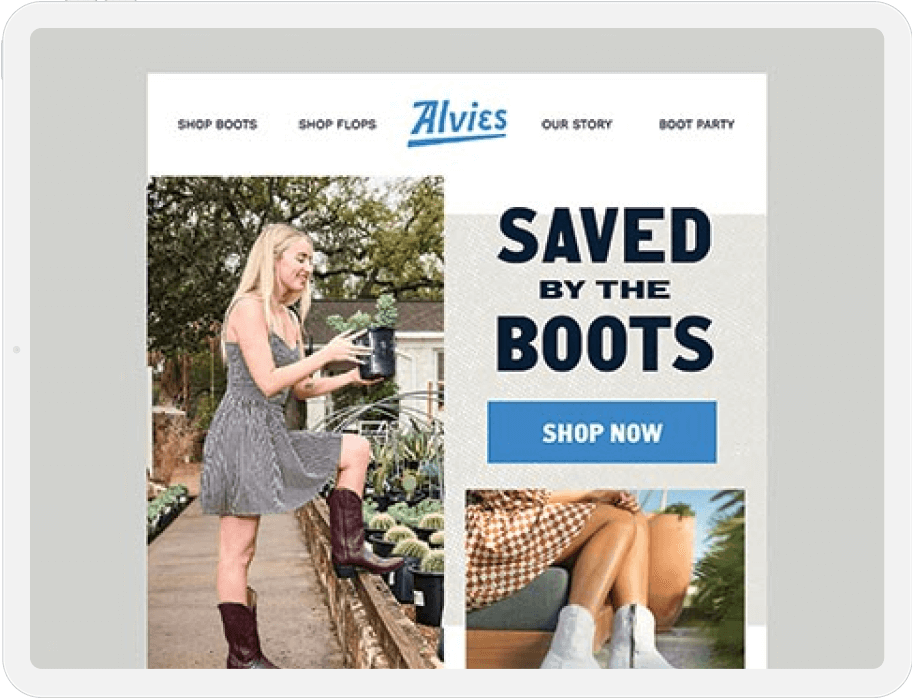 Alvies promo email example 