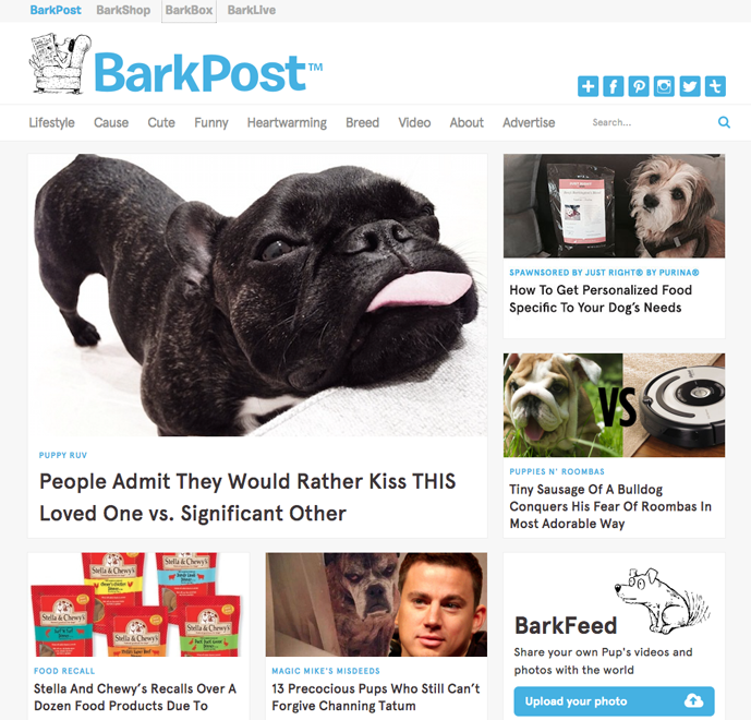 Barkpost-screenshot