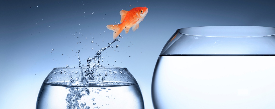 lead_conversion_strategies