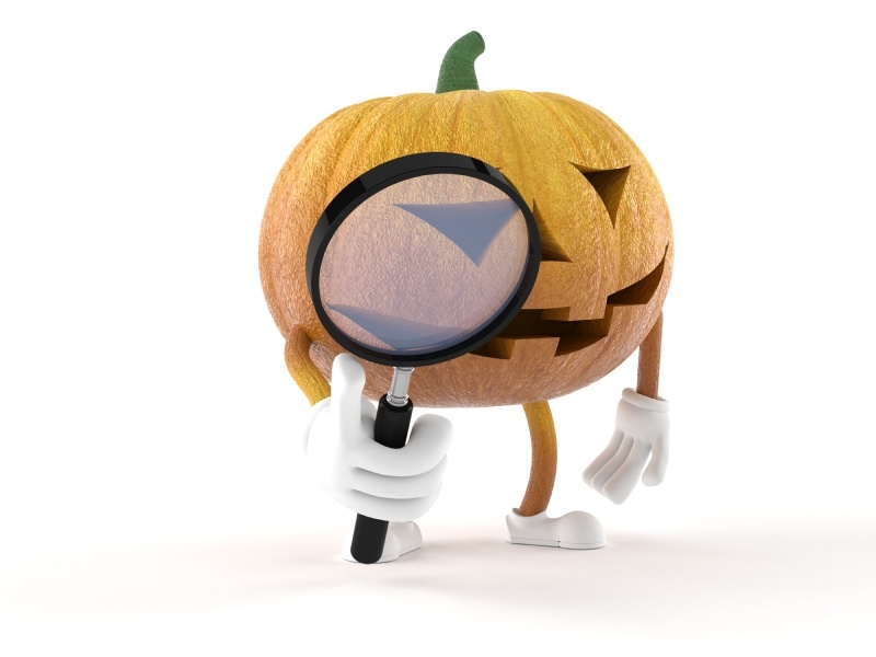 pumpkin-searching