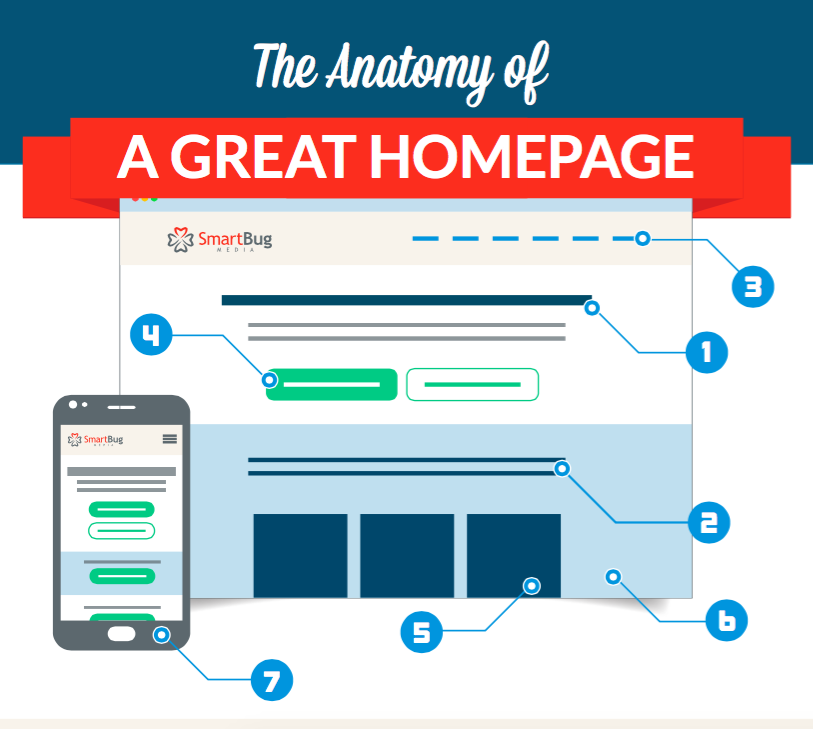 anatomy drawing website