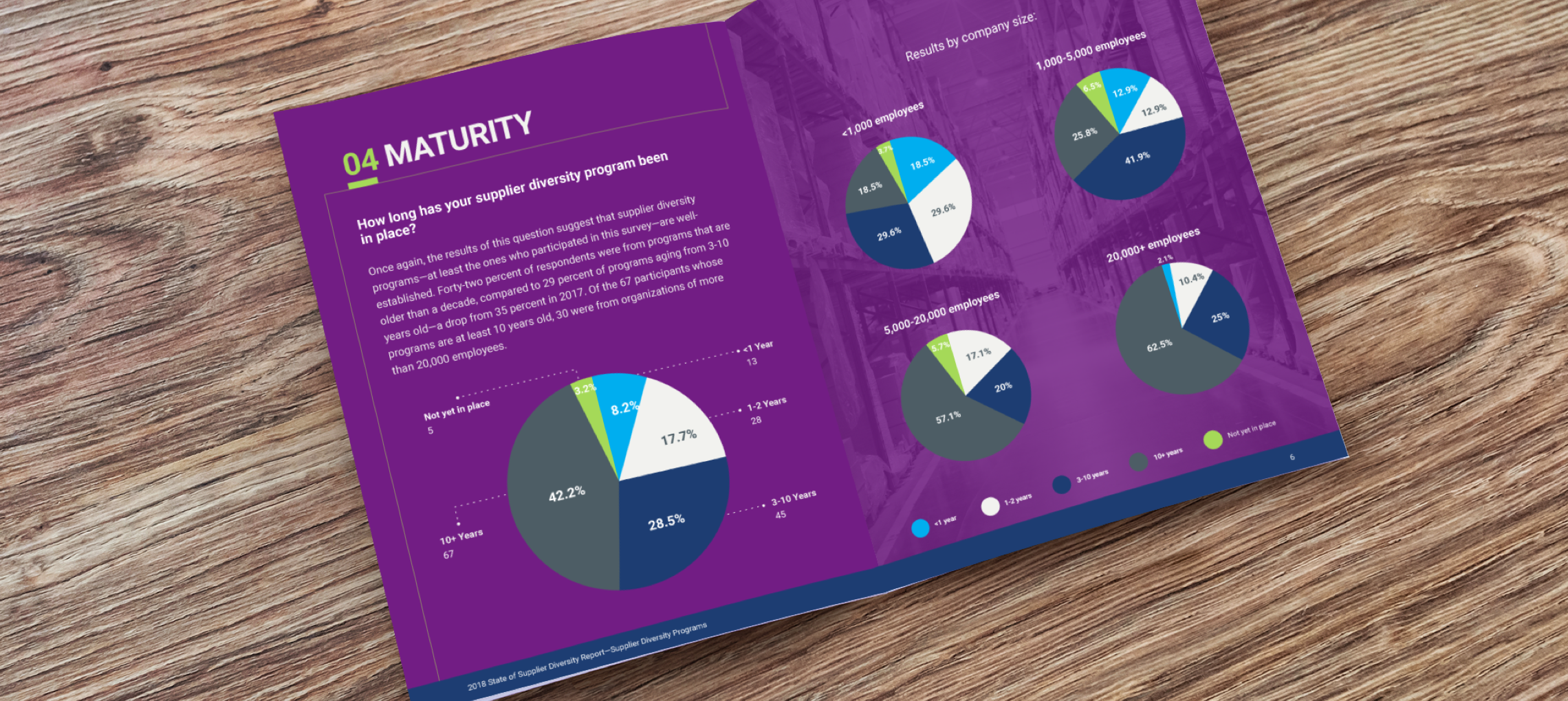 CVM Maturity book on table