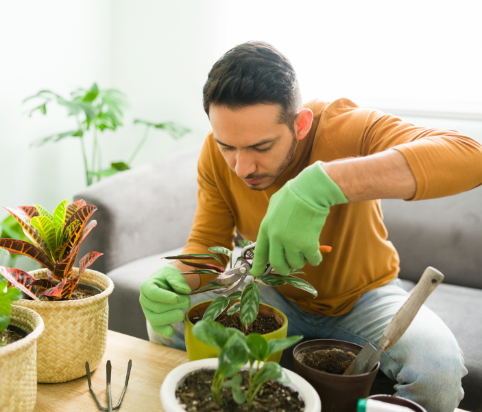 A gardener working with plants